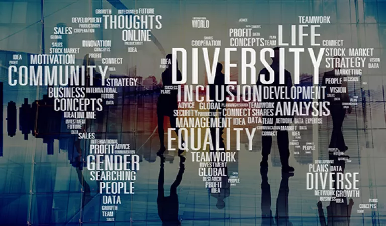 Diversity Inclusion text 575px
