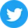 Twitter Social Icon 40px