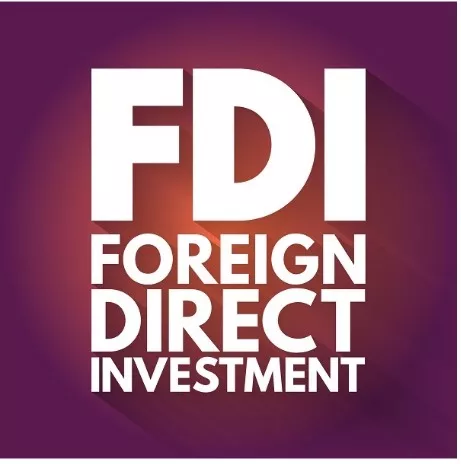 Vietnam FDI
