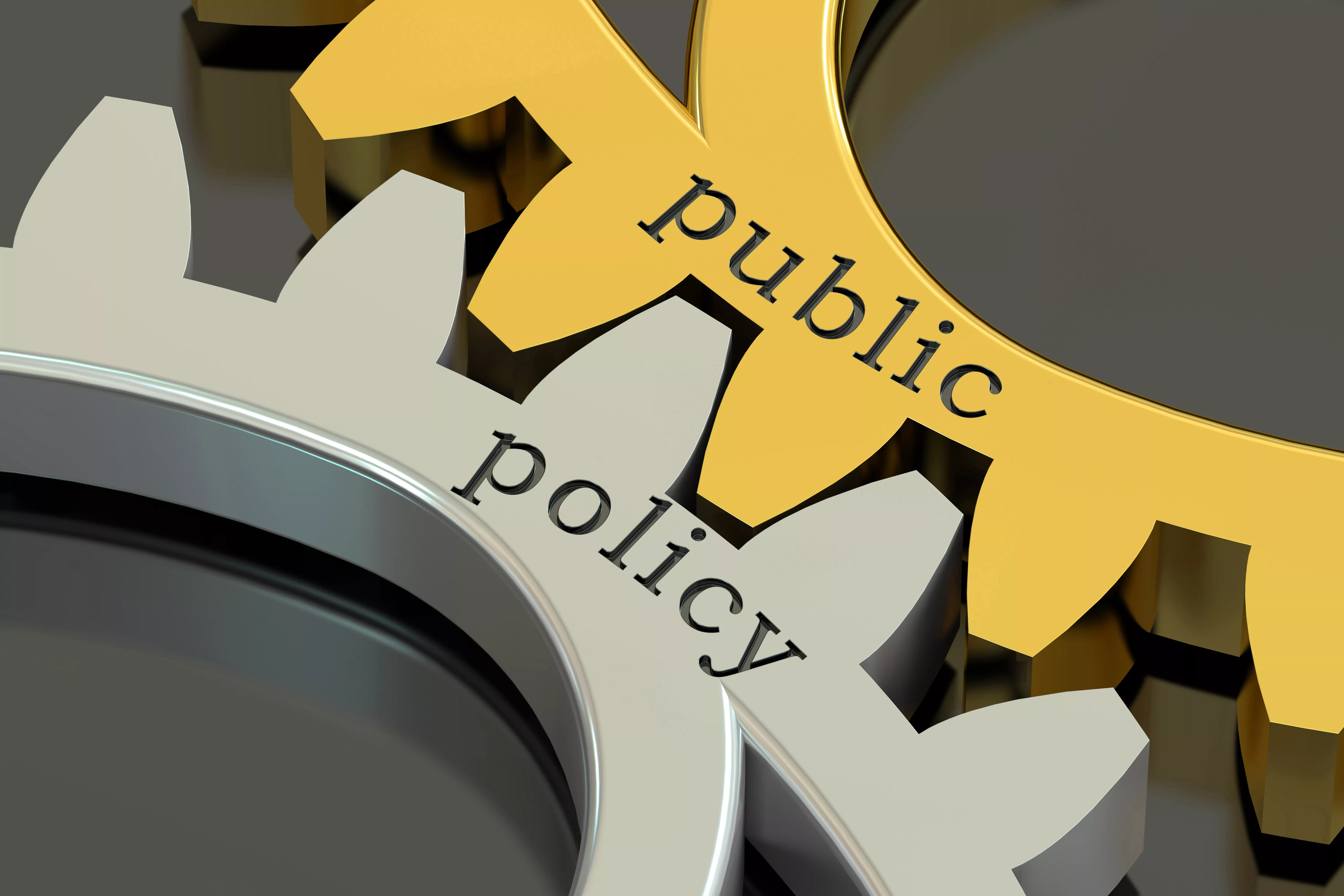 Advocacy public policy