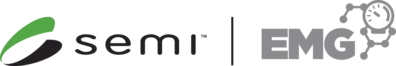 Linx SEMI EMG lockup logo