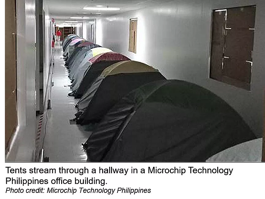 Microchip tents stream